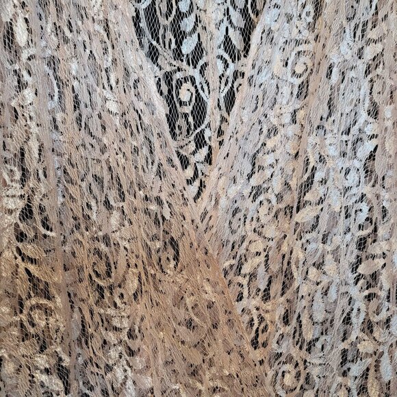 Vintage Pink Lace Blouse Top Surplice Sheer Drop Waist Sugar Free - Picture 4 of 11